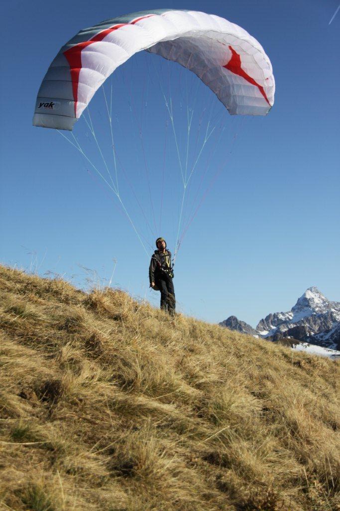 Yak